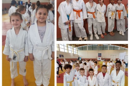 Touroi de l'ALVA judo 26/05/2024