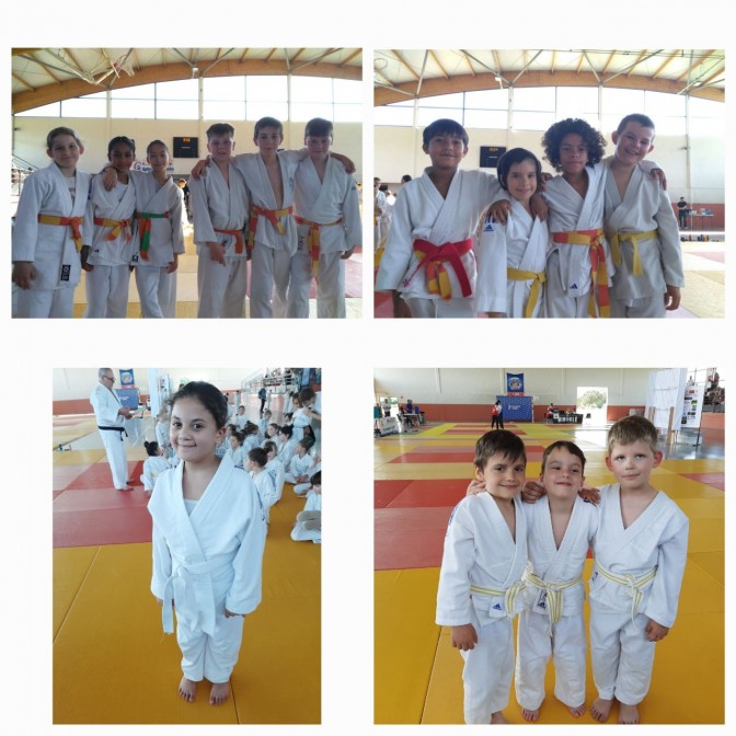 Image de l'actu 'Tournoi interclubs de L'ALVA judo du 18 mai 2025'