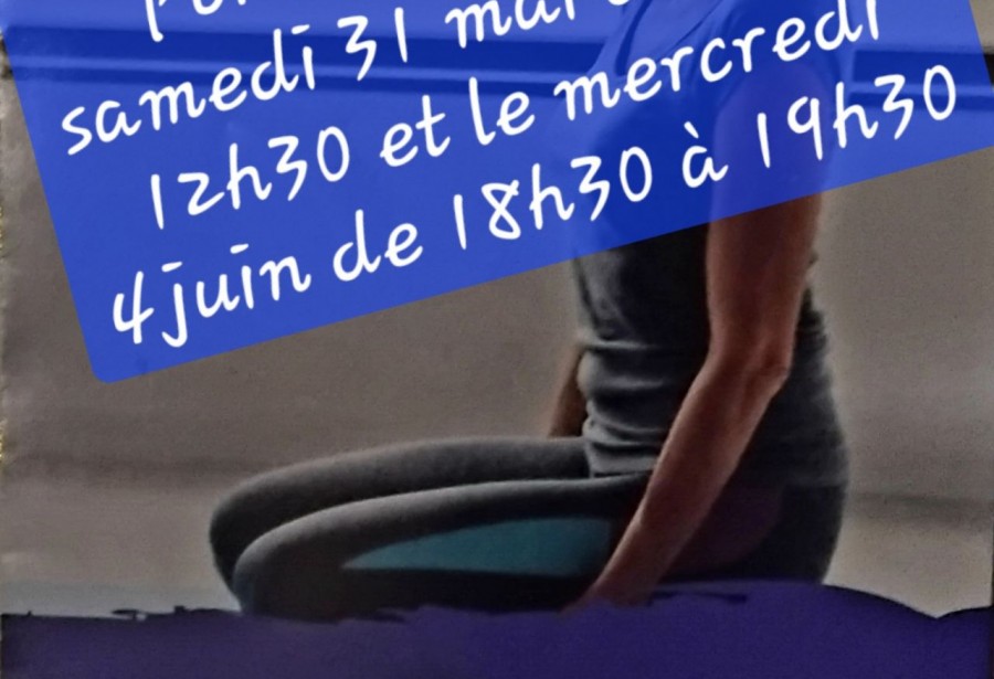 Portes ouvertes au Taïso le 31 mai et le 4 juin