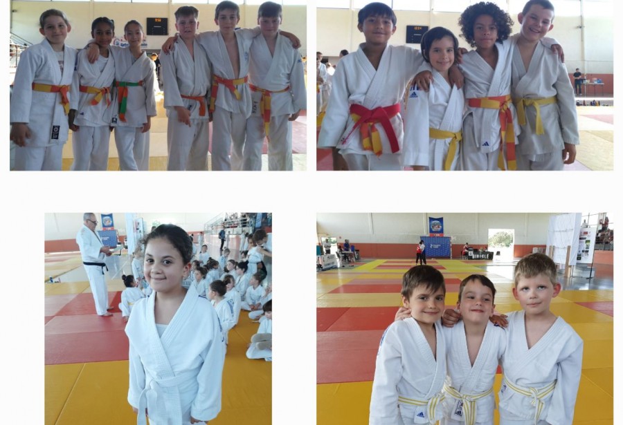 Tournoi interclubs de L'ALVA judo du 18 mai 2025